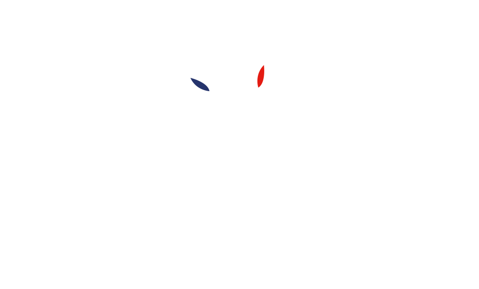 Logo transparent Alphonse Daudet