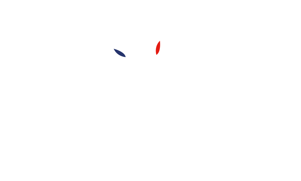 Logo transparent Jean Franco