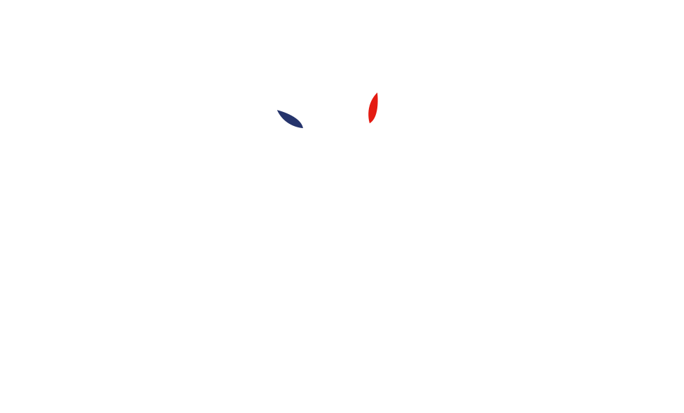 Logo transparent Les Merveilles