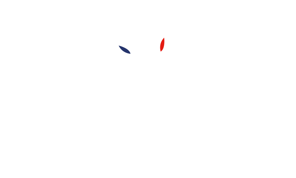 Logo transparent Les Mimosas