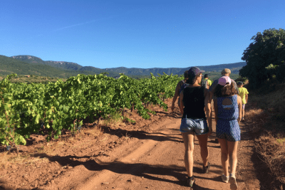 Agrandir l'image 5 sur 5, fenêtre modale