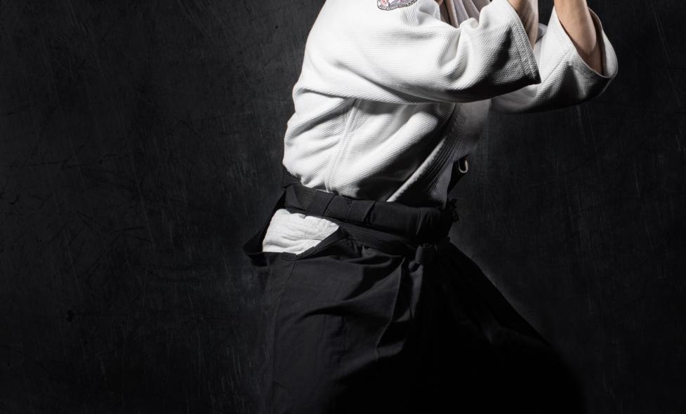 Does Aikido is the best martial art ever - Agrandir l'image, fenêtre modale